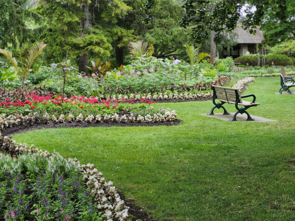Mown lawn and planted flower beds in a park
