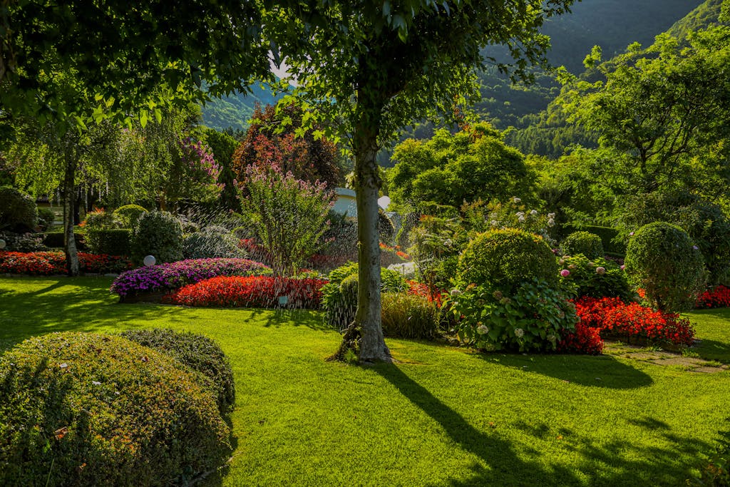 Landscaped garden beds with shrubs and flowering plants
