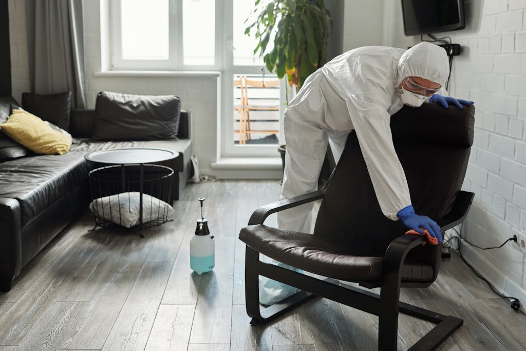 interior cleaning near me