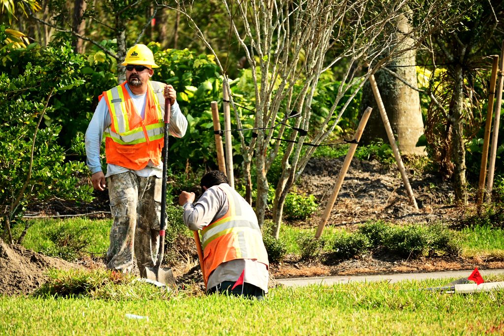 Workers planting and staking young trees on a new development