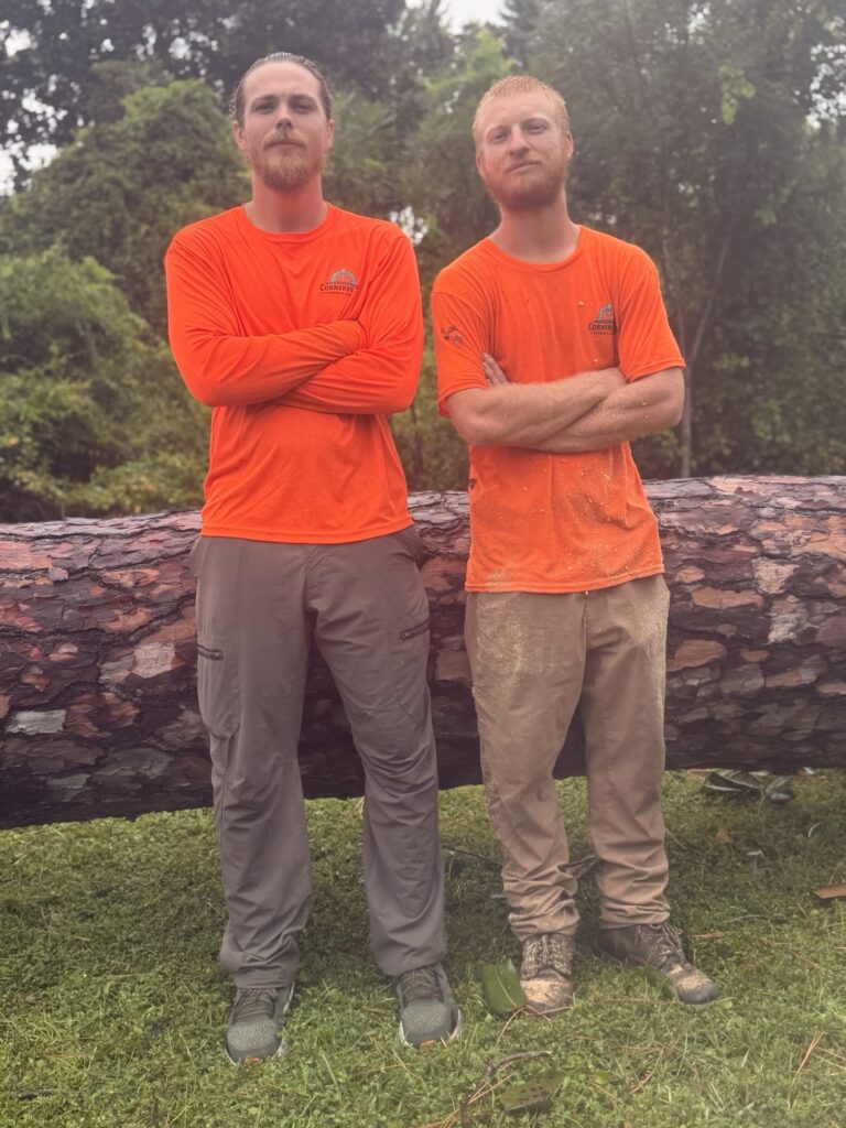 Two Cornerstone Property Services tree crew members standing in front of a large felled pine trunk on a Bay County property